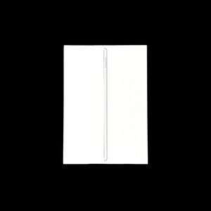 EMPTY Apple iPad (8th Generation) Wi-Fi 32GB Silver Box